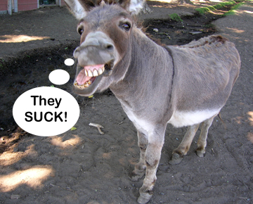 Jackass