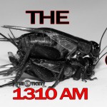 The Cricket