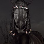 seattle-slew