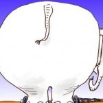 white-elephant